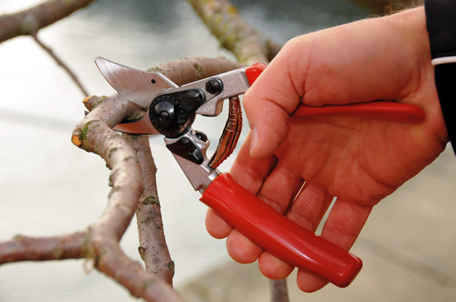 Секатор садовий Felco 12 3