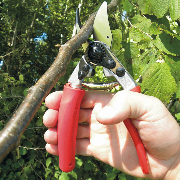 Секатор садовый Felco 12 2