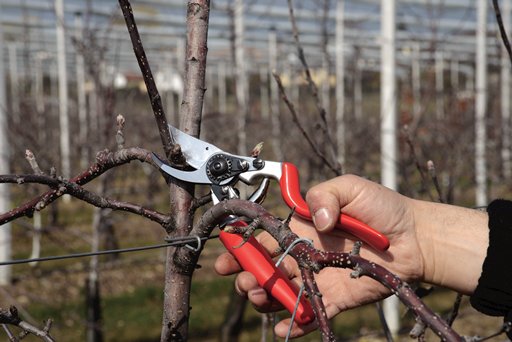 Секатор садовий Felco 12 4