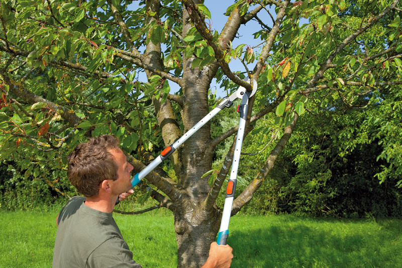 Сучкорез телескопический 650 ВТ Comfort, Gardena, 08779-20.000.00 4