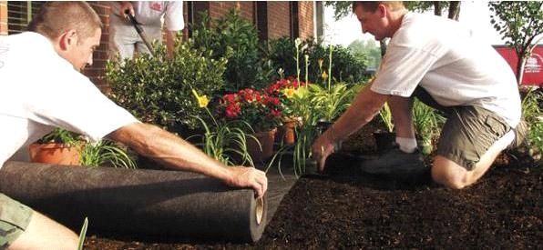 Агроволокно черное Гео 90 UV, 0.8х12м, Агротекс 3