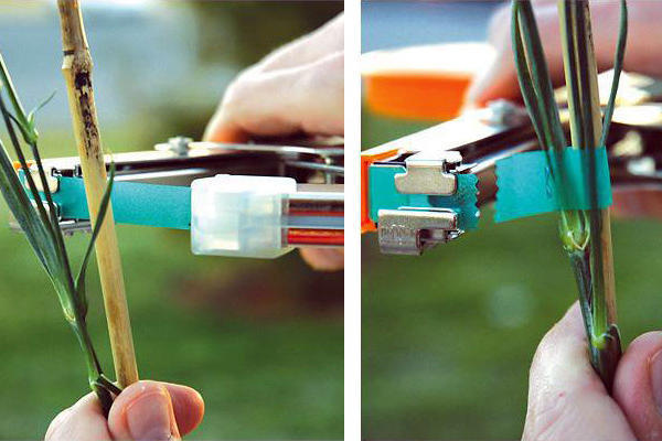 Степлер-сшиватель для рослин HT-B (NL) MAX 3