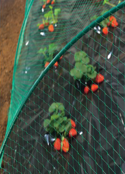 Сетка от птиц, 4х50м, Nortene Birdnet 3