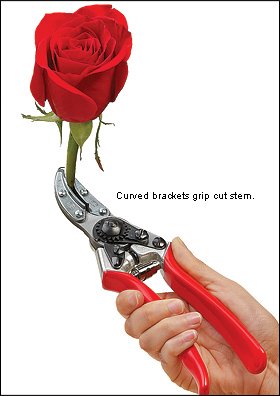 Секатор для роз и цветов, Felco, 100 6