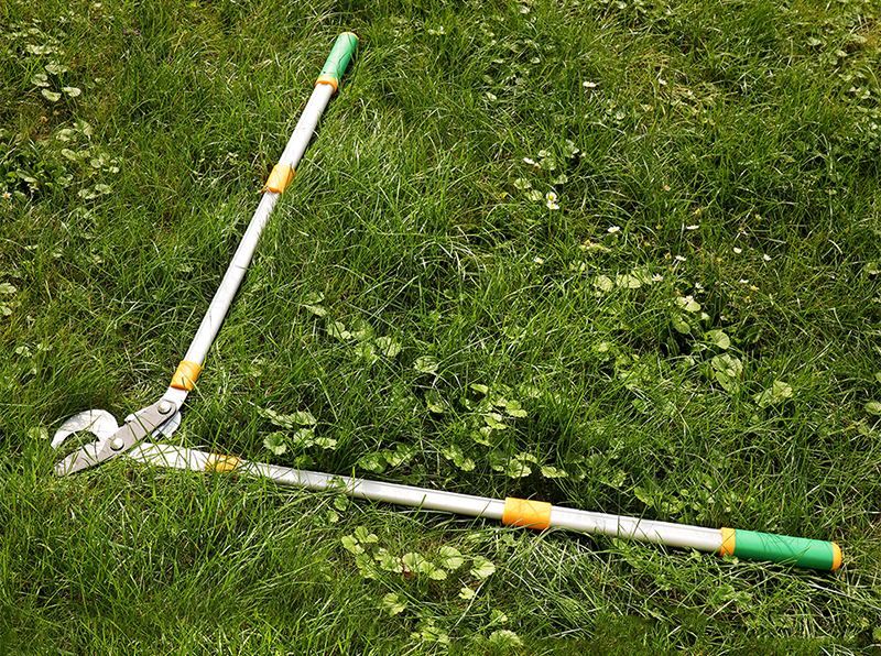 Гілкоріз телескопічний T-REX 685-1050 мм, 57мм, Gruntek, 295201105 6