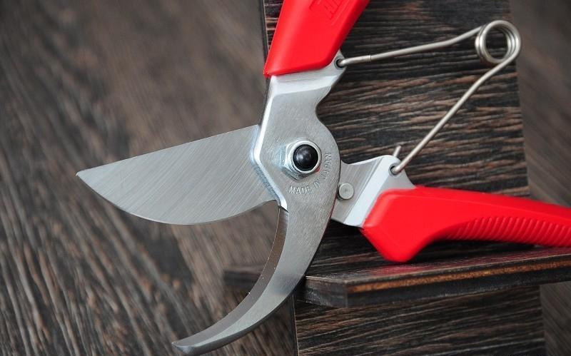 Секатор, ARS, 120DX 2