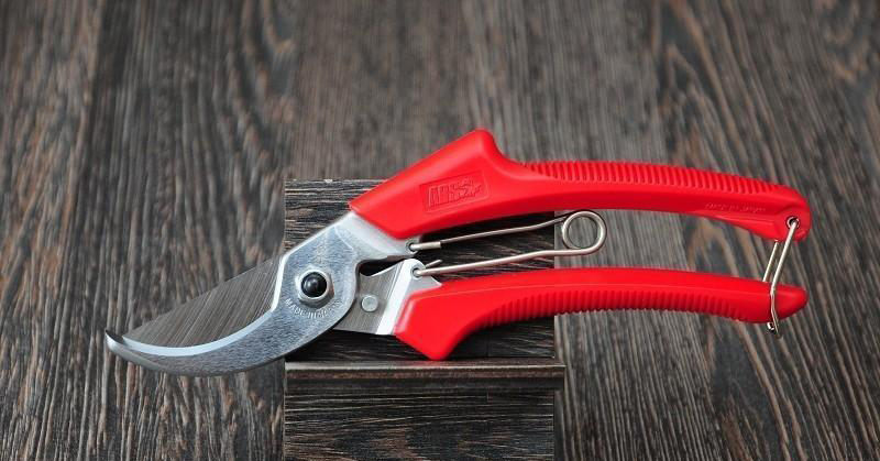 Секатор, ARS, 120DX 5