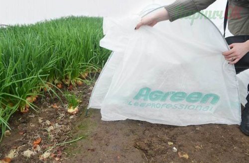 Минипарничок теплица ПарничОК, 7х0.8х0.9м, Agreen (Агрин) 2