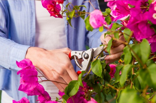 Секатор садовый Felco 14 2