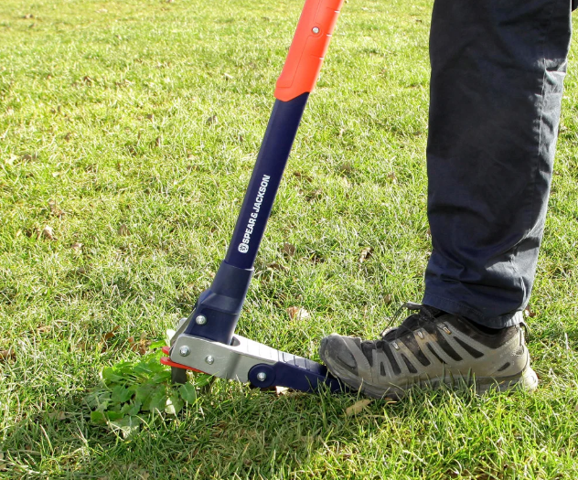 Інструмент для видалення бур'янів 4854WB, Spear & Jackson 3