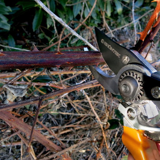 Секатор Falke, 215мм, жовтий, Gruntek. 295108215 8