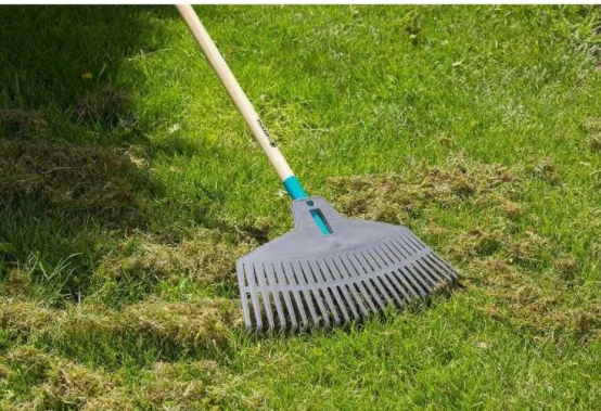 Граблі віялові ClassicLine 45 см, Gardena, 17200-20.000.00 3