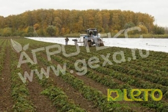 Агроволокно біле 30 UV, 1.6х10м, Агротекс 2