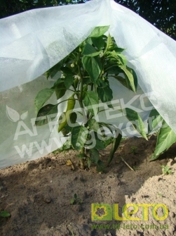 Агроволокно біле 30 UV, 1.6х10м, Агротекс 5