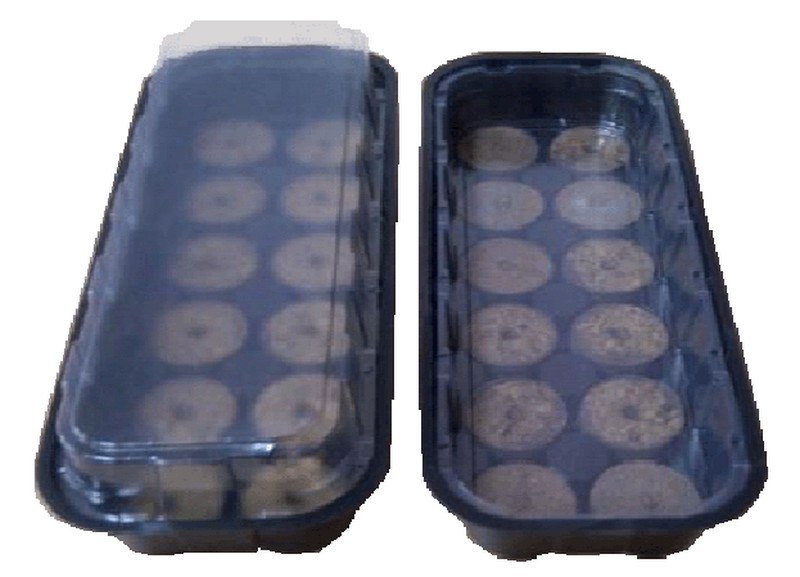 Міні-парничок для торф'яних таблеток ВЛ, 12яч, кас. 250х90х40 мм, яч. 38х38 мм, т. з. 0,7 мм, пластиковий 3