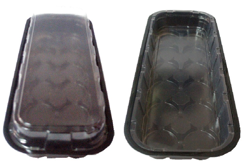 Міні-парничок для торф'яних таблеток ВЛ, 12яч, кас. 250х90х40 мм, яч. 38х38 мм, т. з. 0,7 мм, пластиковий 2