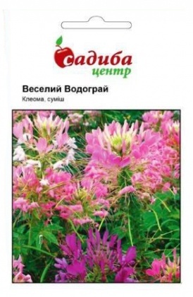 Насіння клеоми Веселий водограй, 0.3 г, Hem, Голландія, Садиба Центр