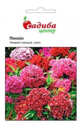 Насіння гвоздики Пінокіо суміш, 0.2 м, Hem, Голландія, Садиба Центр