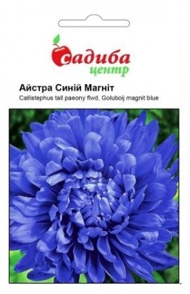 Насіння айстри Синій магніт, 0.2 м, Hem, Голландія, Садиба Центр