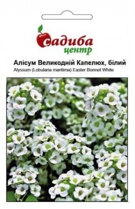 Насіння аліссуму Великодній капелюх, біла, 0.1 г, Pan American, США, Садиба Центр