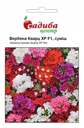 Насіння вербени Кварц ХР суміш, 10шт, Pan American, США, Садиба Центр