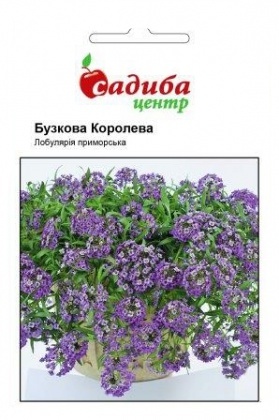 Насіння лобулярії приморської Бузкова королева, 0.1 г, Hem, Голландія, Садиба Центр