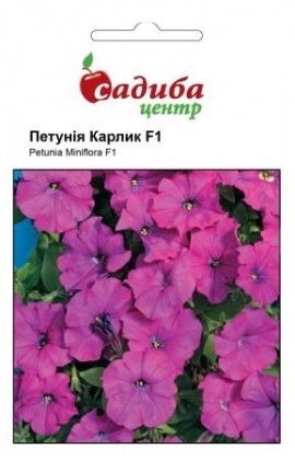 Насіння петунії Карлик F1, фіолетова, 10шт, Cerny, Чехія, Садиба Центр