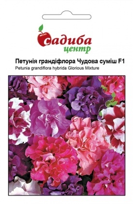Насіння петунії Чудова суміш F1, 10шт, Pan American, США, Садиба Центр
