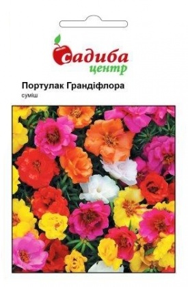 Насіння портулаку Градифлора суміш, 0.02 г, Hem, Голландія, Садиба Центр