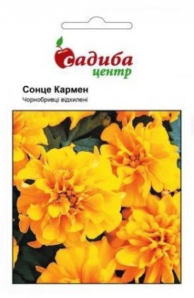 Насіння чорнобривців Сонце Кармен, 0.2 м, Hem, Голландія, Садиба Центр