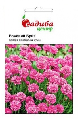 Насіння армерії приморської Рожевий бриз, 0.1 г, Hem. Голландія, Садиба Центр