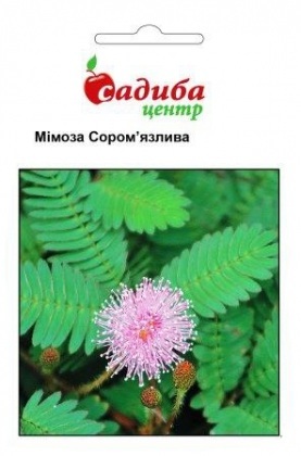 Насіння мімози сором'язливої, 0.2 м, Hem, Голландія, Садиба Центр