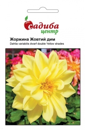 Насіння жоржини Жовтий дим, 0.1 г, Hem, Голландія, Садиба Центр