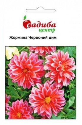 Насіння жоржини Червоний дим, 0.1 г, Hem, Голландія, Садиба Центр