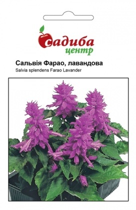 Насіння сальвії Фарао, лавандова, 0.1 г, Hem, Голландія, Садиба Центр