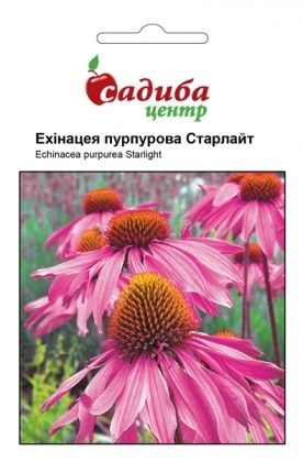 Насіння ехінацеї пурпурової Старлайт, 0.1 г, Hem, Голландія, Садиба Центр