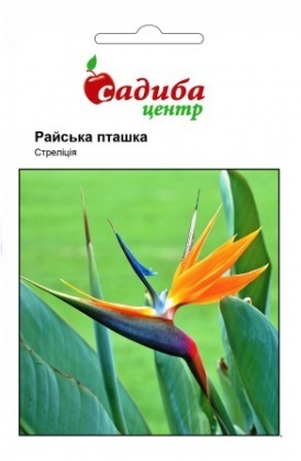 Насіння стреліції Райський птах, 3шт, Hem, Голландія, Садиба Центр