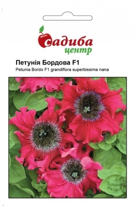 Насіння петунії Бордова F1, бархомчатая, 10шт, Cerny, Чехія, Садиба Центр