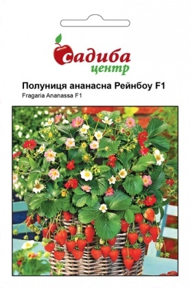 Насіння полуниці ананасної Рейнбоу, 10шт, Hem, Голландія, Садиба Центр