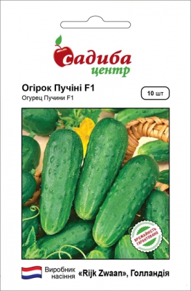 Насіння огірка Пучіні F1, 10шт, Rijk Zwaan, Голландія, насіння Садиба Центр