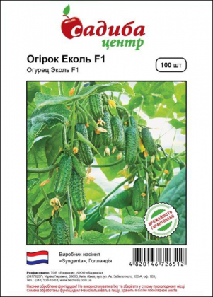 Насіння огірка Еколь F1, 100шт, Syngenta, Голландія, насіння Садиба Центр