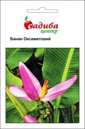 Насіння банана оксамитового, 3шт, Hem, Голландія, Садиба Центр