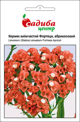 Насіння кермека Фортеця, абрикосова, 0.1, Pan American, США, Садиба Центр