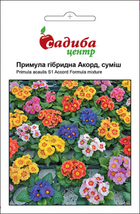 Насіння примули акауліс Акорд S1, 0.01г, Hem, Голландія, Садиба Центр
