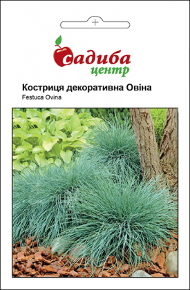 Насіння Костриця декоративної стодола, 0.1г, Hem, Голландія, Садиба Центр