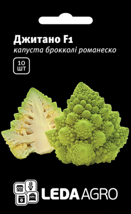 Насіння капусти романеско Джітано F1, 10шт, Clause, Франція, насіння Леда Агро