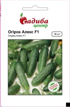 Семена огурца Алекс F1, 10шт, Bejo, Голландия, семена Садиба Центр