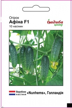 Насіння огірка Афіна F1, 10шт, Nunhems, Голандія, насіння Садиба Центр
