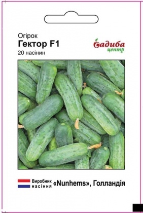 Насіння огірка Гектор F1, 20шт, Nunhems, Голандія, насіння Садиба Центр