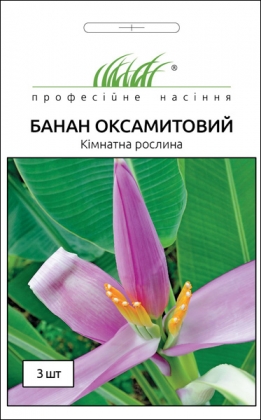 Насіння банана оксамитового, 3шт, Hem, Голландія, Насіння квітів Pro seeds